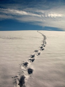 footsteps in snow